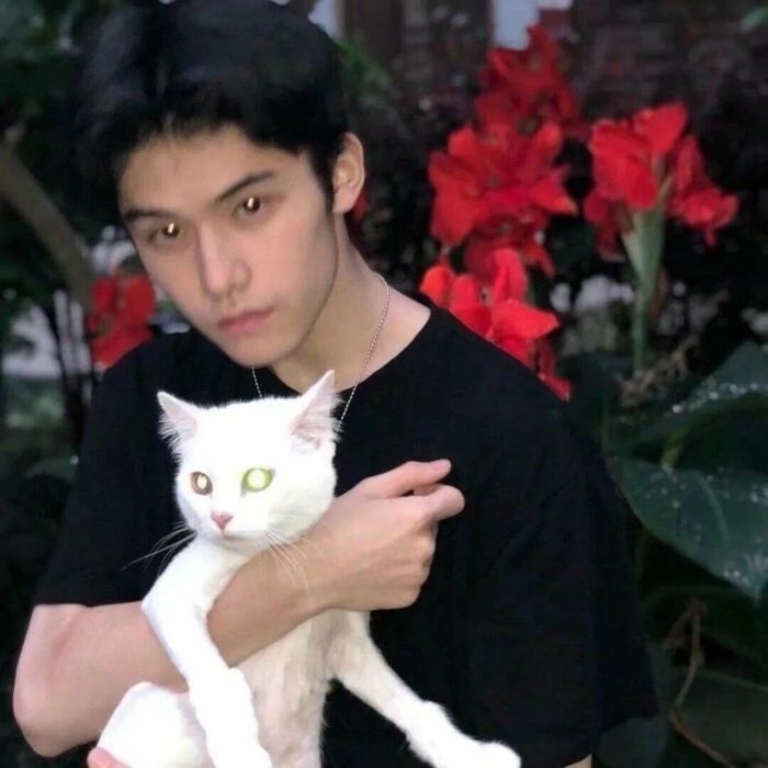 爷的魅力你不懂的第一张照片--永安征婚网