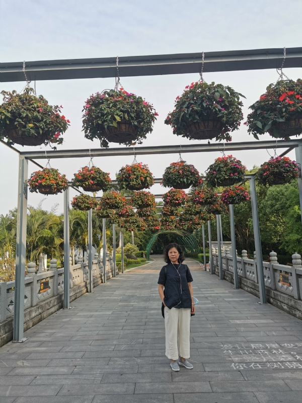 一叶知秋的第二张照片--永安征婚网