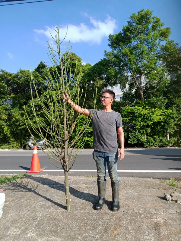 jeff的第二张照片--永安征婚网